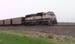 BNSF coal train